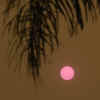 PINK-SUN.jpg (81281 bytes)